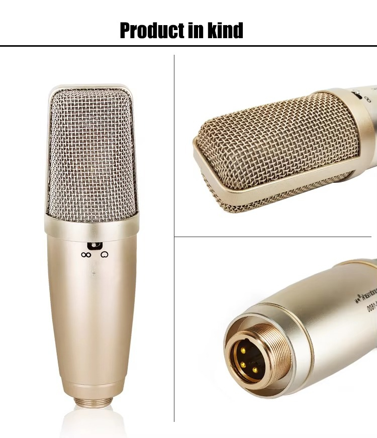Brand New Kids Microphone With - Musical Instrument Brands recensione e prezzo