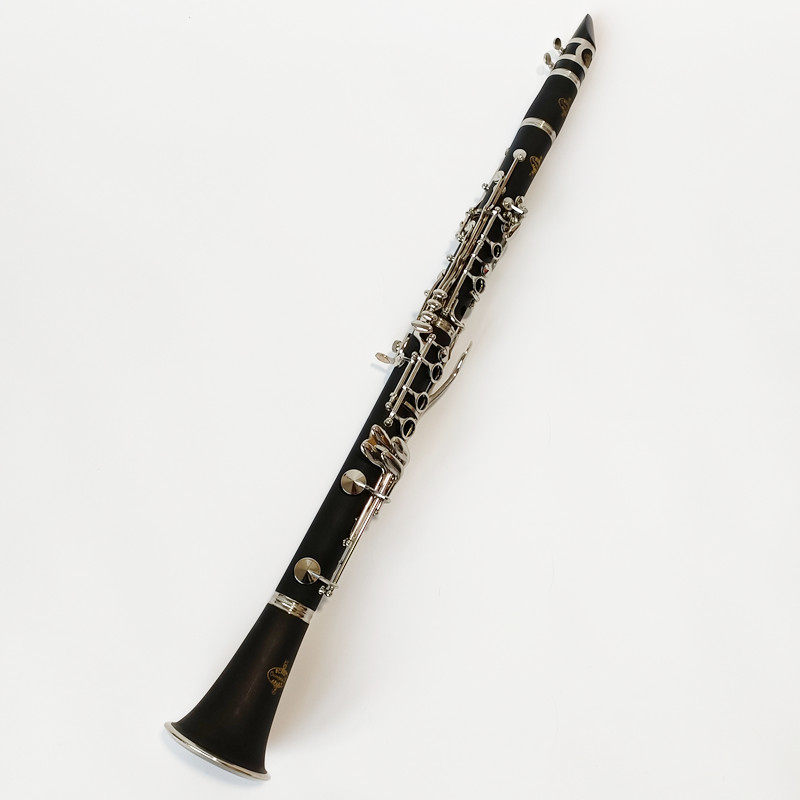 Brand Buffet Crampon Prodige B - Musical Instrument Brands recensione e prezzo