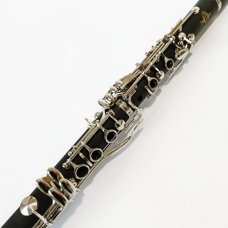 Brand Buffet Crampon Prodige B - Musical Instrument Brands recensione e prezzo