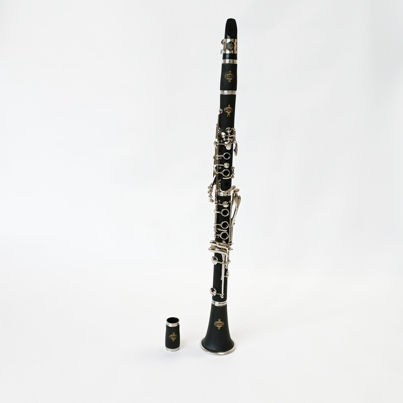 Brand Buffet Crampon Prodige B - Musical Instrument Brands recensione e prezzo