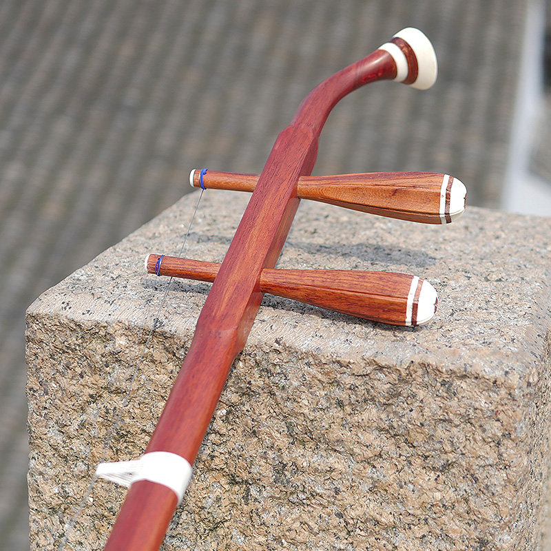 Professional Dunhuang Brand 06 - Musical Instrument Brands recensione e prezzo