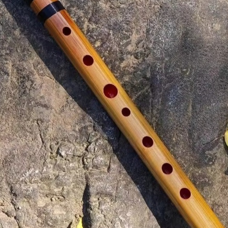 Japan Flute C Key Bamboo Trans - Musical Instrument Fife recensione e prezzo