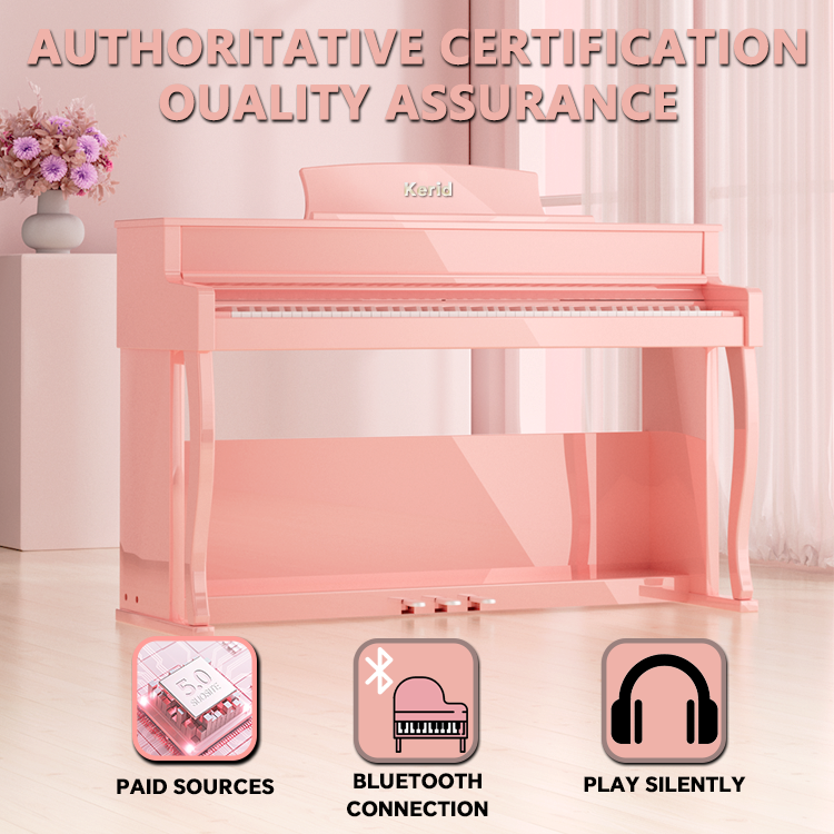 Best Price Electric Pianos Pia - Musical Instrument Keyboard Price recensione e prezzo
