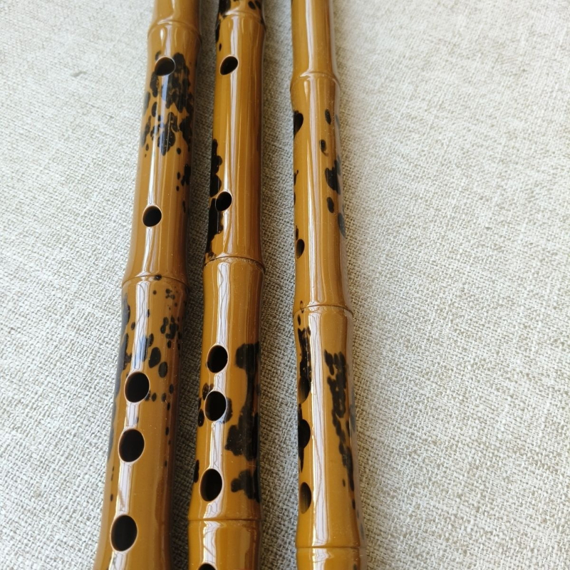 Traditional Flute Professional - Musical Instrument Fife recensione e prezzo