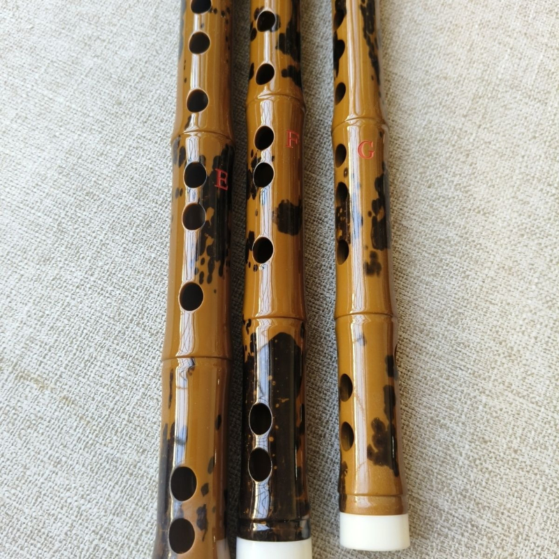 Traditional Flute Professional - Musical Instrument Fife recensione e prezzo