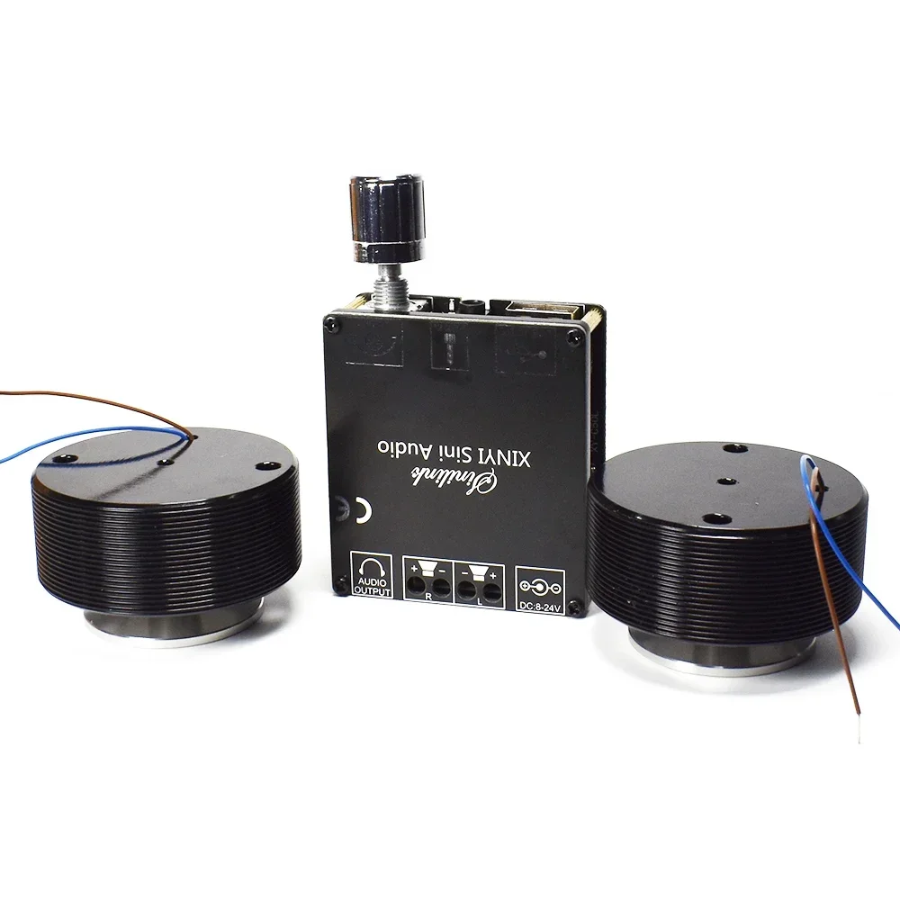 1 Set 50W 2.0 HIFI Vibration S - Musical Instrument Diy recensione e prezzo