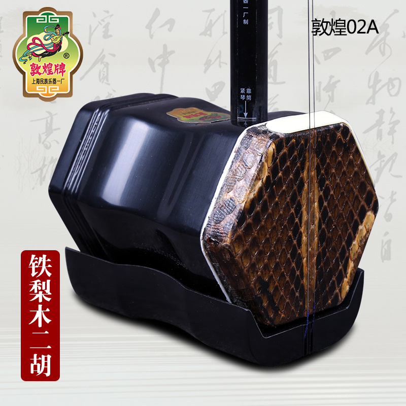 Dunhuang Brand Erhu 02A Lignum - Musical Instrument Brands recensione e prezzo