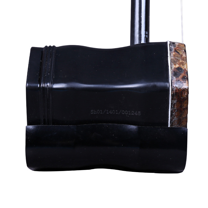 Dunhuang Brand Erhu 02A Lignum - Musical Instrument Brands recensione e prezzo